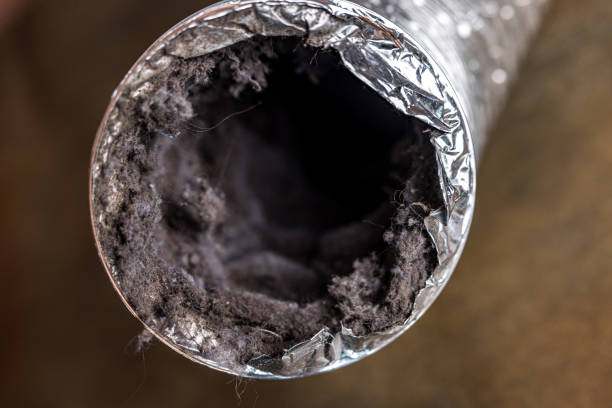 Best Air Duct Cleaning Near Me in Andrews Af, MD